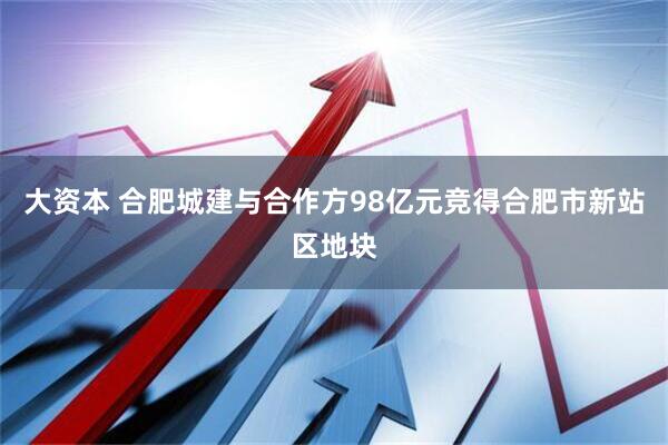 大资本 合肥城建与合作方98亿元竞得合肥市新站区地块