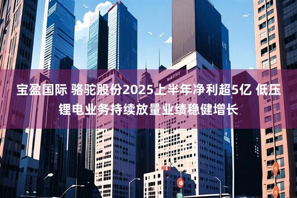 宝盈国际 骆驼股份2025上半年净利超5亿 低压锂电业务持续放量业绩稳健增长