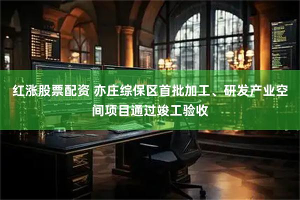 红涨股票配资 亦庄综保区首批加工、研发产业空间项目通过竣工验收