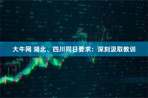 大牛网 湖北、四川同日要求：深刻汲取教训